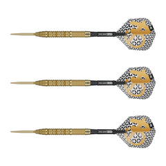 TARGET - 23g - Bolide Envy SP01 - Steel Tip Swiss Point - 90% Tungsten Darts