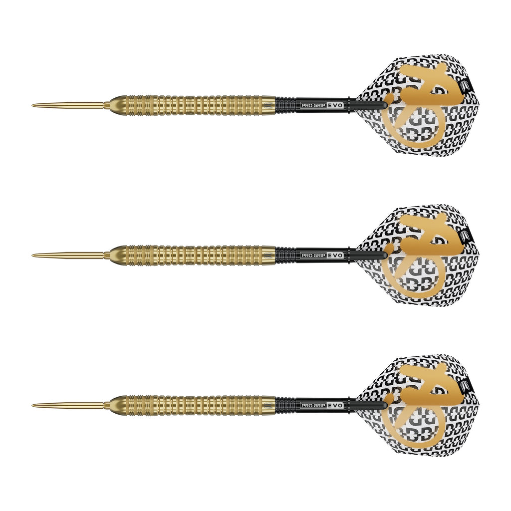 TARGET - 25g - Bolide Envy SP04 - Steel Tip Swiss Point - 90% Tungsten Darts