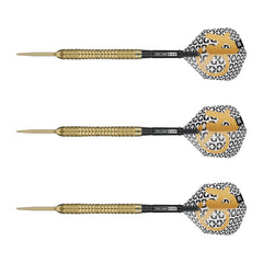 TARGET - 25g - Bolide Envy SP04 - Steel Tip Swiss Point - 90% Tungsten Darts