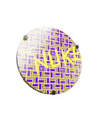 Luke Littler World Champion Edition Dartboard Back
